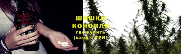 амф Аркадак
